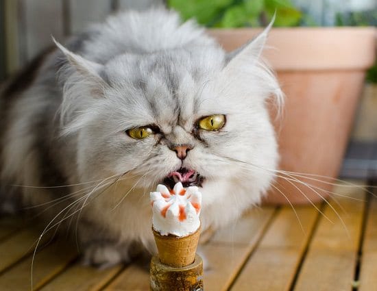 Kitty Ice Cream