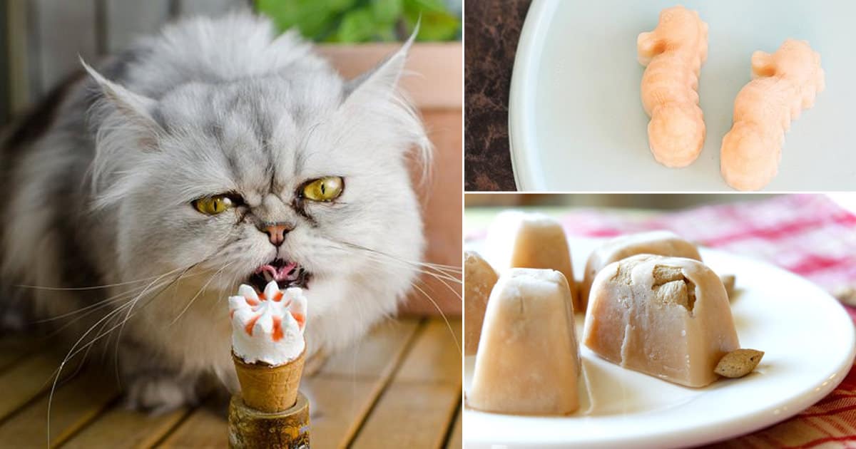 12 DIY Frozen Cat Treats Cat Treats DIY ⋆ Bright Stuffs