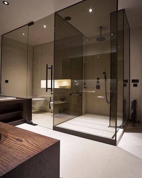 Bronze Frame with Tinted Glass Shower Door