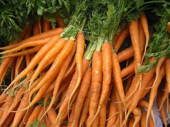 DIY Carrot Based Lotion