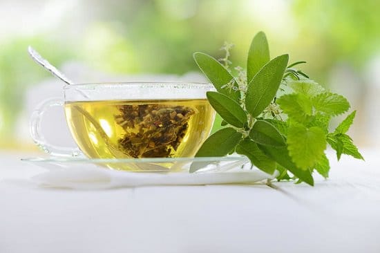 Health Benefits of Drinking Green Tea Before Bed 2