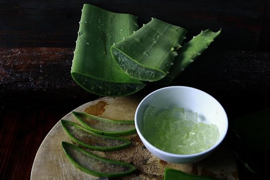 Aloe vera helps in rosacea