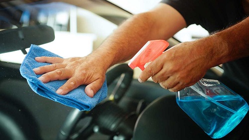 Homemade Car Bug Cleaner