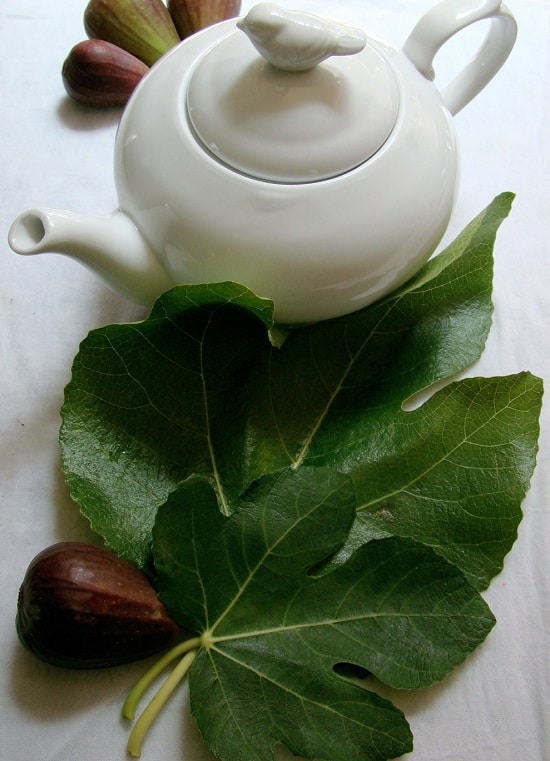 Fig Tree Leaves Tea Benefits2