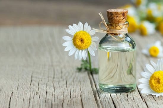 Chamomile Essential Oil