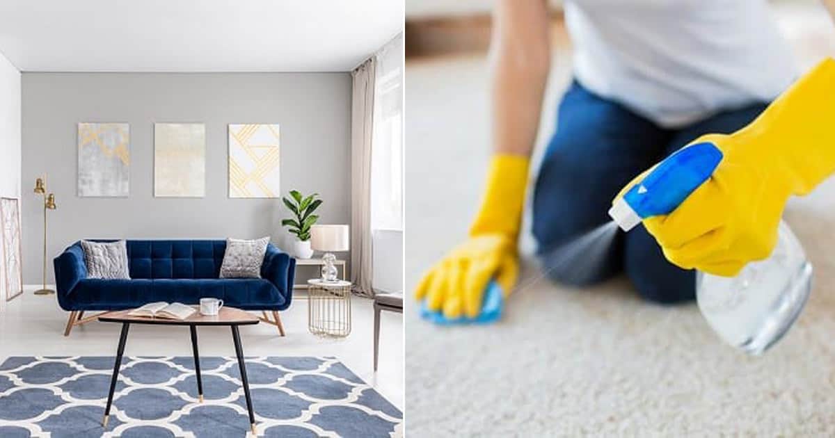 how-to-get-rid-of-carpet-odor-from-water-damage-bright-stuffs