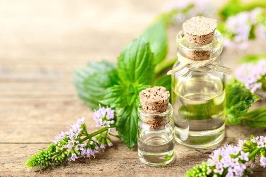 Peppermint Essential Oil