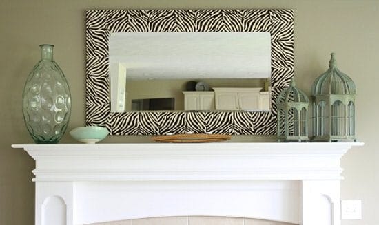 Zebra Mirror