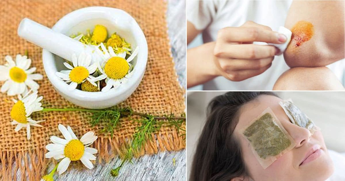 8 Surprising Chamomile Benefits for Skin ⋆ Bright Stuffs
