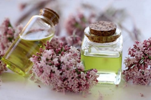 Essential Oils to Get Rid of Flies 6