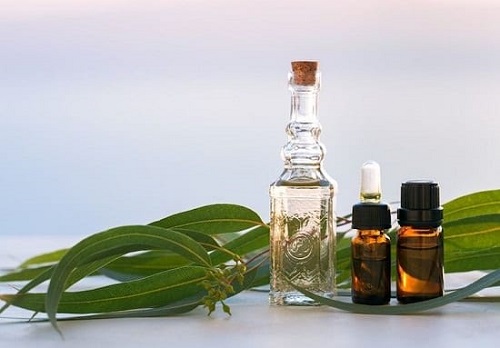 Essential Oils to Get Rid of Flies 5