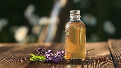 Essential Oils to Get Rid of Flies 8