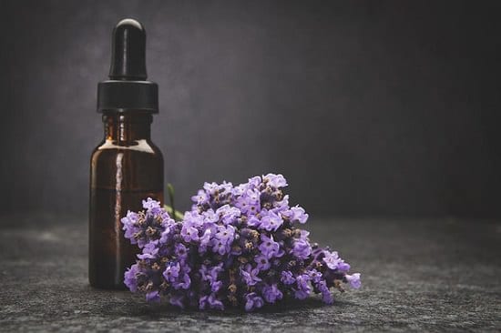 Lavender Oil