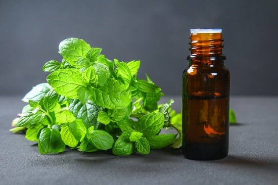 Peppermint Oil