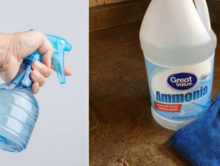 Lifestyle Archives ⋆ Bright Stuffs