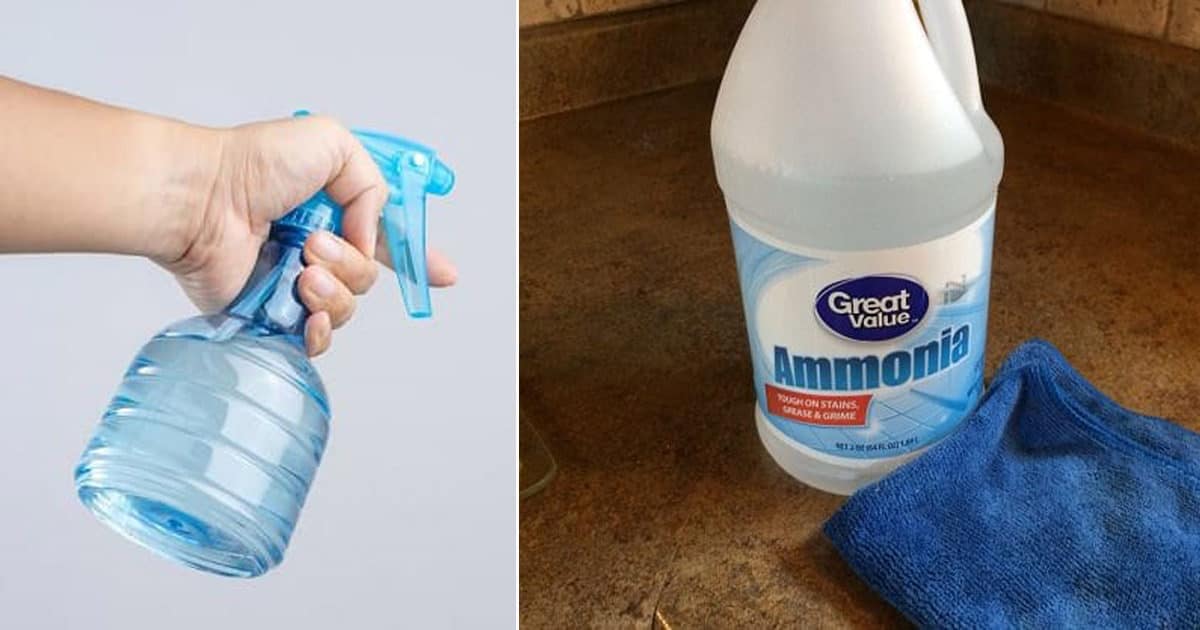 Does Ammonia Repel Snakes | Ammonia For Snakes ⋆ Bright Stuffs