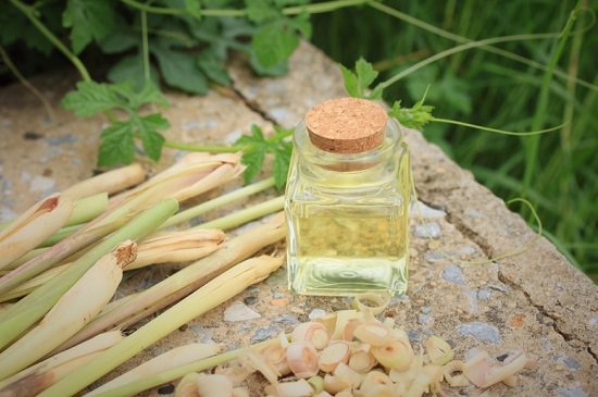 Essential Oil Fly Repellent