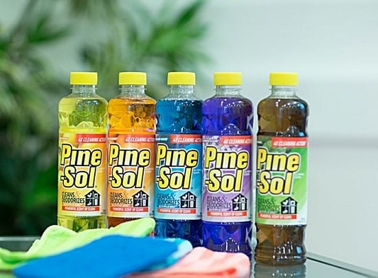 Does Pine Sol Kill Bed Bugs2