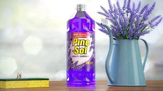 Does Pine Sol Kill Bed Bugs1