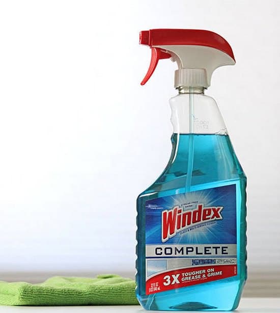 Does Windex Kill Fruit Flies1