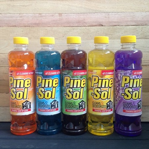 Does Pine Sol Kill Mold 2