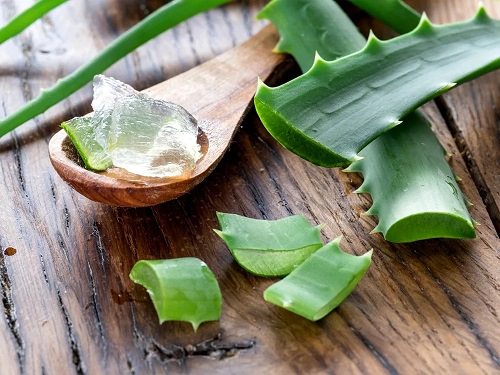 Does Aloe Vera Clog Pores1