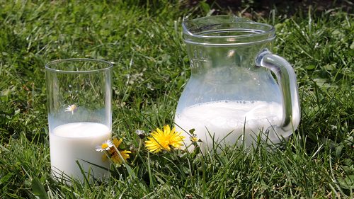 Does Dandelion Milk Get Rid of Warts2
