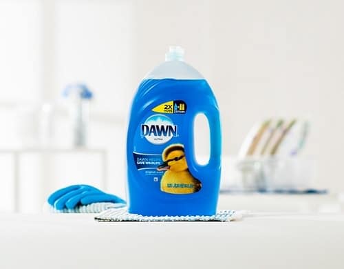 Does Dawn Dish Soap Kill Lice 2