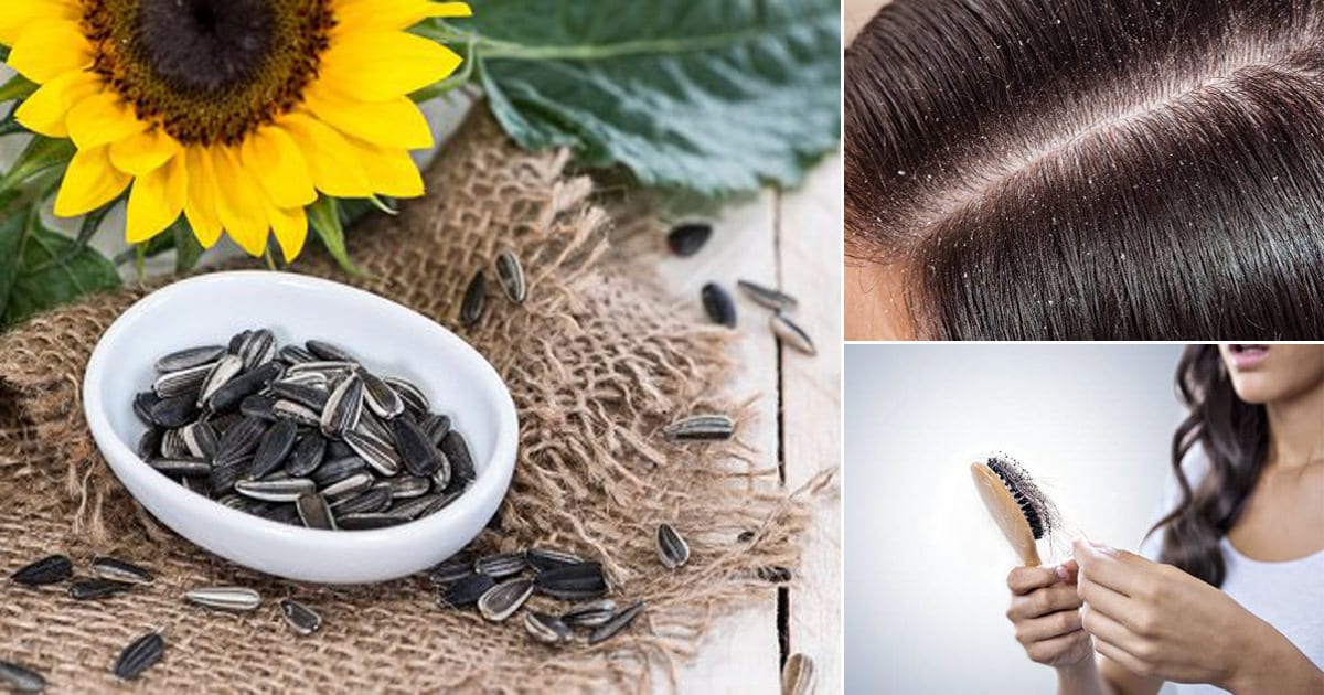 3 Surprising Sunflower Seeds Benefits for Hair ⋆ Bright Stuffs