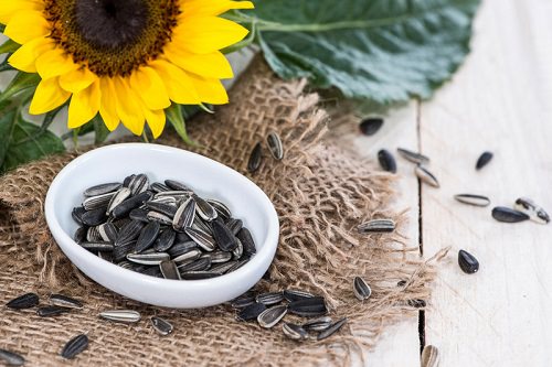 Sunflower Seeds Benefits for Hair1