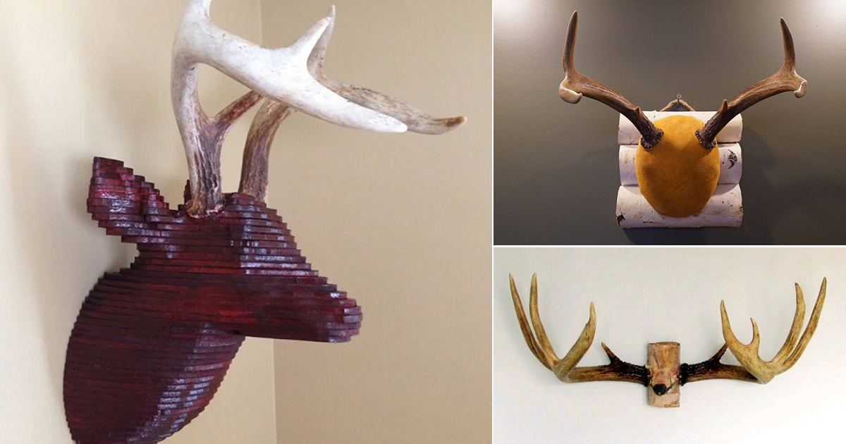 9 Cool Diy Deer Antler Mount Ideas ⋆ Bright Stuffs