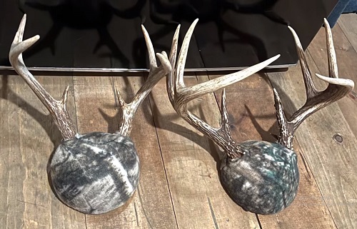 9 Cool DIY Deer Antler Mount Ideas Bright Stuffs   Antler Mount DIY 