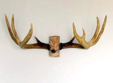 9 Cool DIY Deer Antler Mount Ideas ⋆ Bright Stuffs