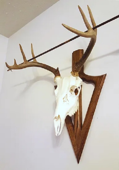 Deer Skull Mount Ideas 6