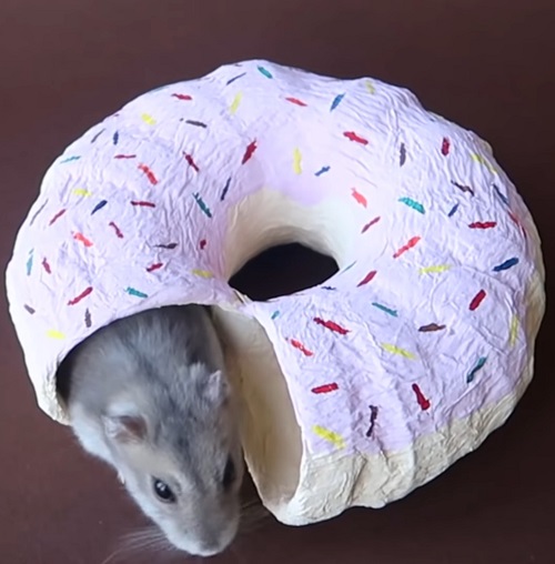 frosted donut tunnel