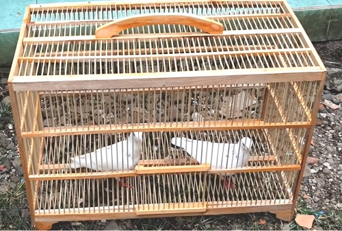 Scrap Wood Outdoor Birdcage DIY