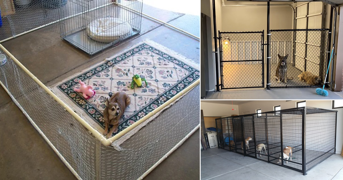 7 Best Dog Kennel in Garage Ideas ⋆ Bright Stuffs