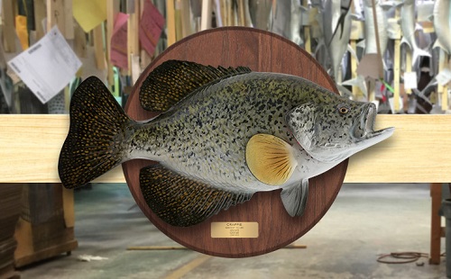 Crappie Wood Plaque Mount