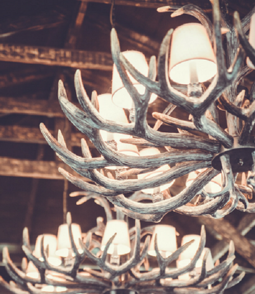 Deer Antler Chandelier