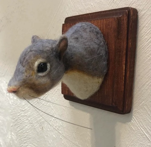 Squirrel Mount Ideas 4