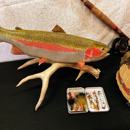 Rainbow Trout on Deer Antler