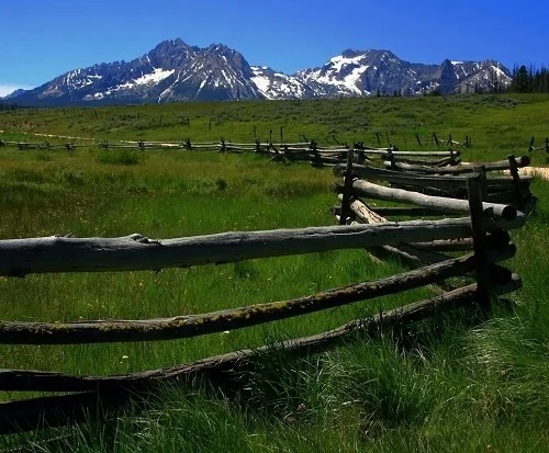 Rustic Log Fence