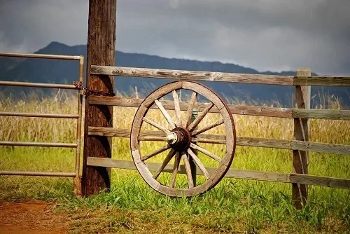 Rustic Wheel and Fence