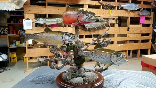 Trouts Pedestal Mount