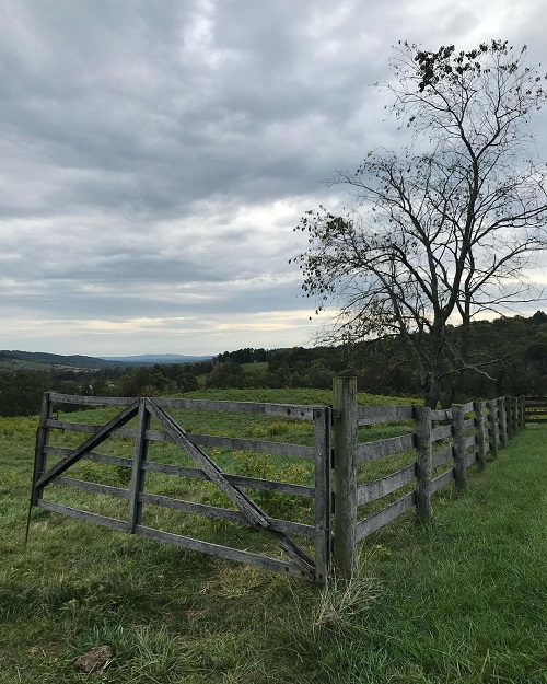 Wood Farm Fence Ideas 3