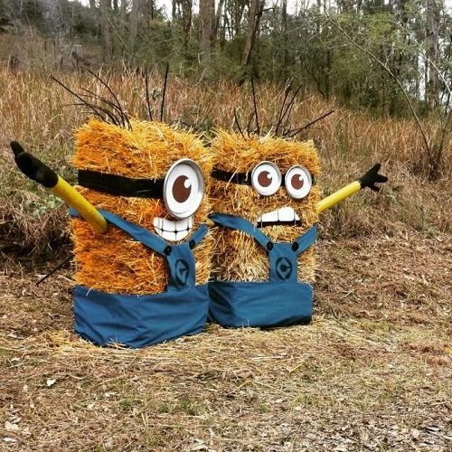 Hay Bale Minions