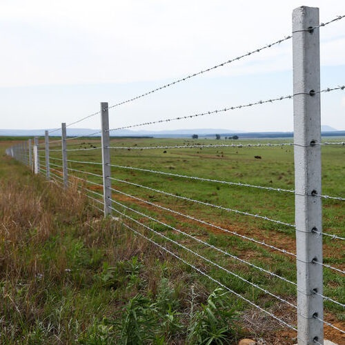 Barbed Wire Fence