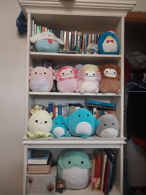 Can You Buy Display Shelves? : r/squishmallow