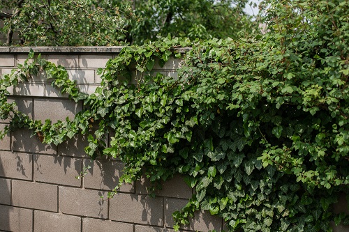 Cinder Block Fence