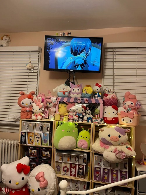 Can You Buy Display Shelves? : r/squishmallow